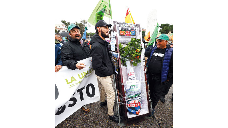 متظاهرون يقفون بجوار نعش بداخله غصن شجرة برتقال. رويترز