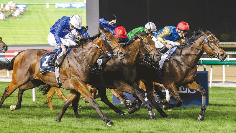 «إنغلش أوك» بطل الشوط الرئيس في الأمسية الـ 12 لـ «كرنفال سباقات دبي»