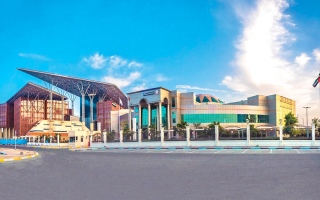 الصورة: امرأة تتهرب من سداد 76.9 ألف درهم &laquo;أتعاب المحاماة&raquo;