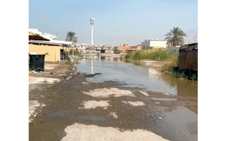 الصورة: تجمعات مياه