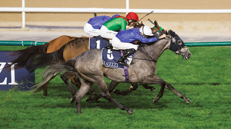 86 خيلاً تتنافس على ألقاب الأمسية الـ 13 لـ «كرنفال سباقات دبي»