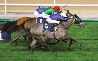 الصورة: 86 خيلاً تتنافس على ألقاب الأمسية الـ 13 لـ &laquo;كرنفال سباقات دبي&raquo;