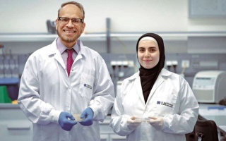 الصورة: اكتشاف بكتيريا جديدة في أشجار القرم تحد من التلوث