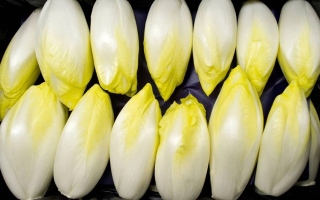 الصورة: فوائد المواد المُرة لصحة الجهاز الهضمي.. هذه أهم مصادرها الغذائية