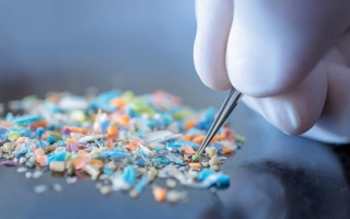 الصورة: جزيئات البلاستيك تصل إلى ​البروستاتا