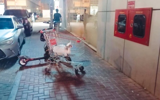 الصورة: عربات تسوق