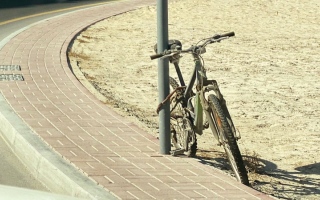 الصورة: درّاجات