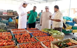 الصورة: تعميم ينظم تداول السلع الأساسية في رأس الخيمة