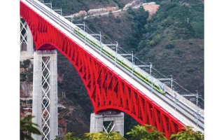 الصورة: ممرات نقل خضراء تمتد آلاف الكيلومترات في الصين