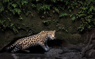 الصورة: زووم.. على العالم