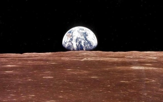 الصورة: لأول مرة في التاريخ .. "ناسا" تزرع الحمّص في تراب القمر