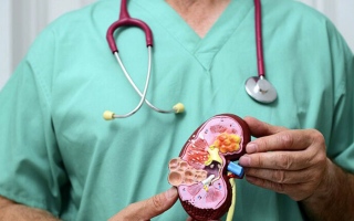 الصورة: أغذية مؤذية للكُلى.. ينبغي الحذر من مكوناتها