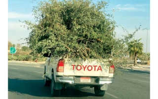 الصورة: حمولة