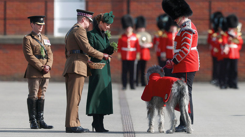 كيت بجانب كلب الصيد &laquo;تورلو مور&raquo; تميمة الفوج الـ17 للحرس الإيرلندي. رويترز