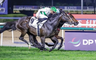 الصورة: &laquo;دي بي ورلد&raquo; راعياً لسباق &laquo;دبي تيرف&raquo; في كأس دبي العالمي