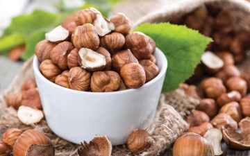 الصورة: البندق.. يعزز الصحة بأنواع الفيتامينات الأساسية