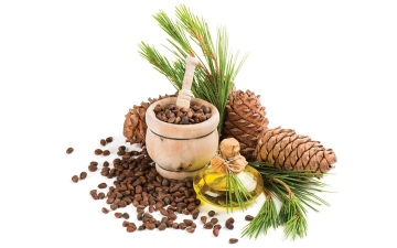 الصورة: الصنوبر..كنز من الفوائد والقيم الغذائية