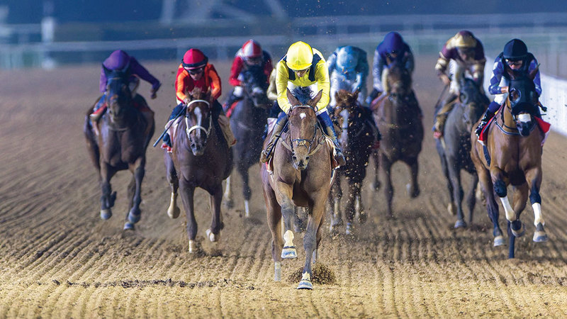 نخبة الخيول تتأهب لـ «كأس دبي العالمي 2026»