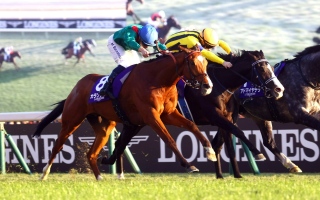 الصورة: المصنف الأعلى عالمياً "كالانداجان" جاهز لأمسية كأس دبي العالمي