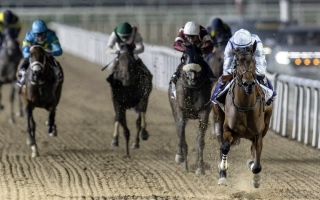 الصورة: تعرف إلى نتائج قرعة الأشواط المصاحبة في &laquo;أمسية كأس دبي العالمي 2026&raquo;