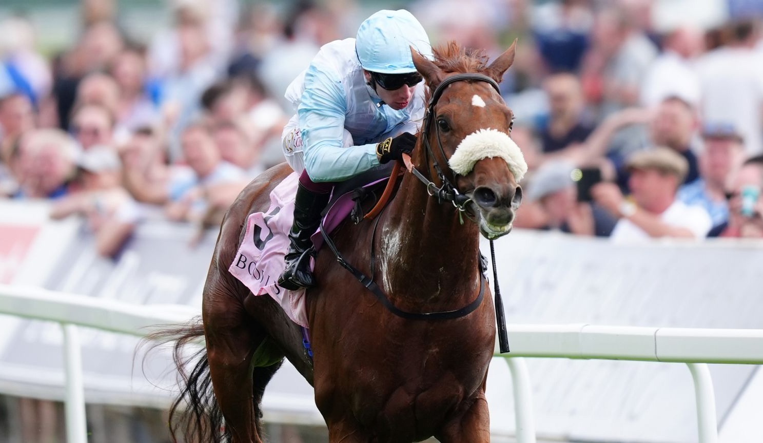 الجواد «جيافيلوتو» يشارك للمرة الرابعة في «كأس دبي العالمي»