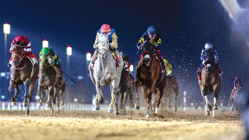 26 جواداً من «الفئة الأولى» تخطف الأضواء في أمسية «كأس دبي العالمي»