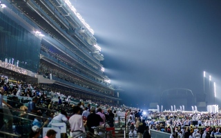 الصورة: 385 ألف درهم جوائز ترشيحات الجمهور في "كأس دبي العالمي"