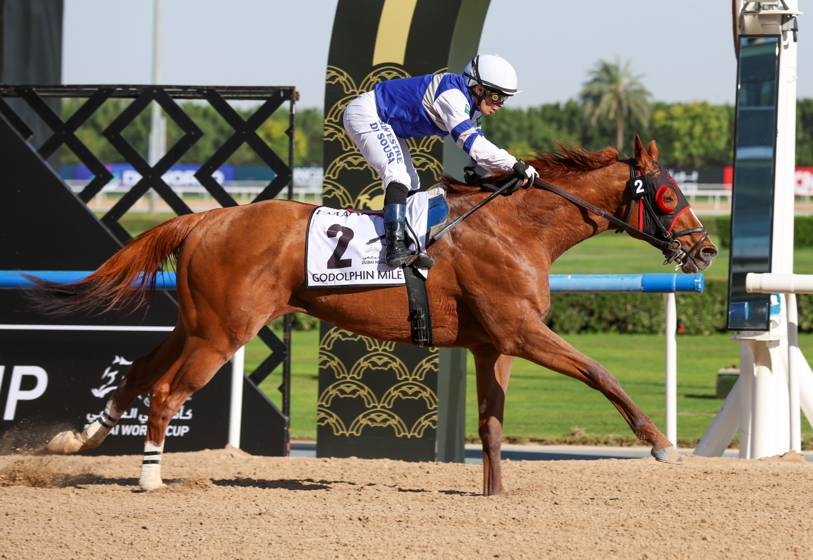 نايف السيد: الجواد «بانشنغ» نفذ التعليمات بدقة عالية في «غودولفين مايل»