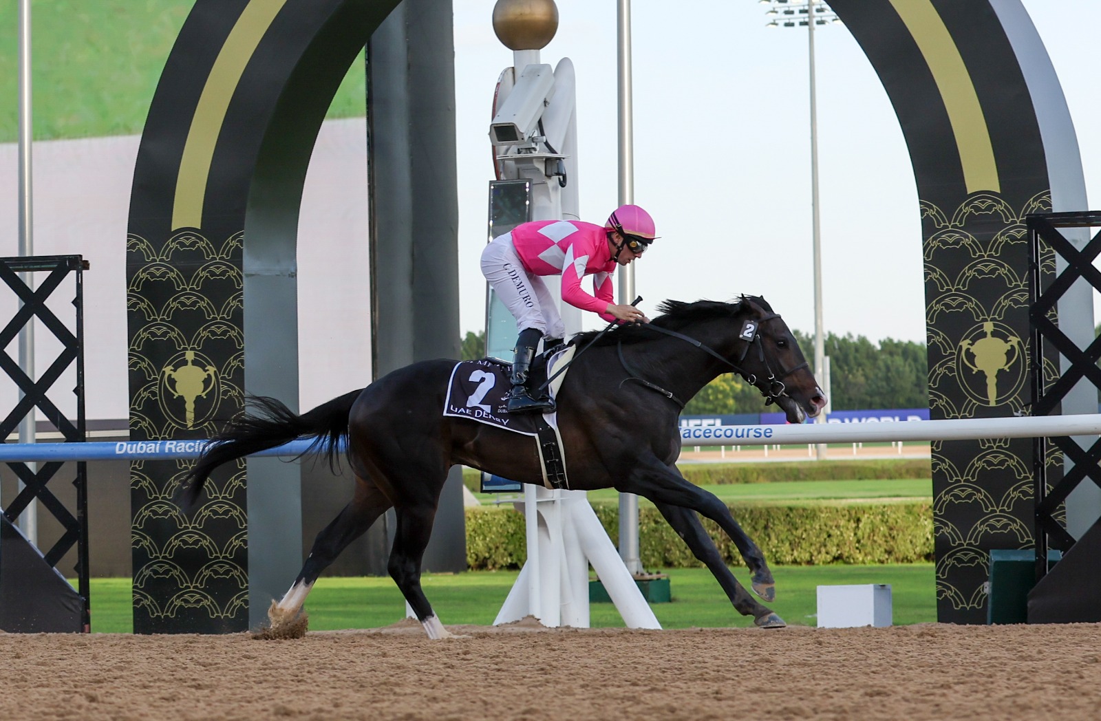المدرب الياباني تاكاياناغي: لقب "ديربي الإمارات" انطلاقة واعدة لـ "ووندر دين"