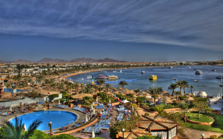 الصورة: إيطالي وزوجته تركا أطفالهما الخمسة في المنزل لقضاء عطلة في مصر .. فماذا حدث ؟