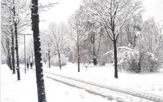 الصورة: حدثت عامي 1883 و1958 فقط .. درجات الحرارة دون الصفر في النمسا