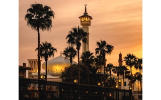 الصورة: سحر من قلب دبي