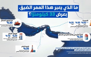 الصورة: سلطان الجابر: أي اضطراب في مضيق هرمز يؤثر في الحياة اليومية لمليارات البشر