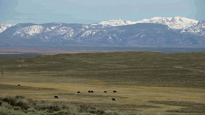 مناطق الرعي في كولورادو مهددة بالجفاف. أ.ب