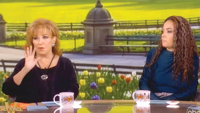 مقدمتا برنامج &laquo;ذا فيو&raquo; شنتا هجوماً على زوجة نائب الرئيس الأميركي. من المصدر