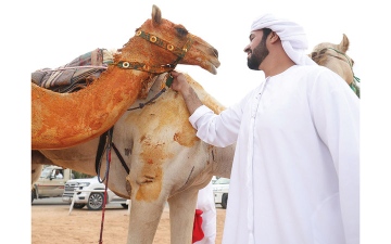 الصورة: إرث عريق