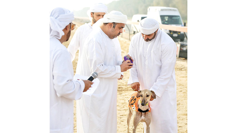 الأشواط التأهيلية شهدت مشاركة واسعة من مختلف إمارات الدولة وحضوراً خليجياً لافتاً. من المصدر