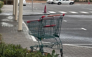 الصورة: عربات تسوّق