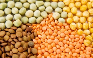 الصورة: البقوليات كنز فوائد صحية.. تعرف عليها