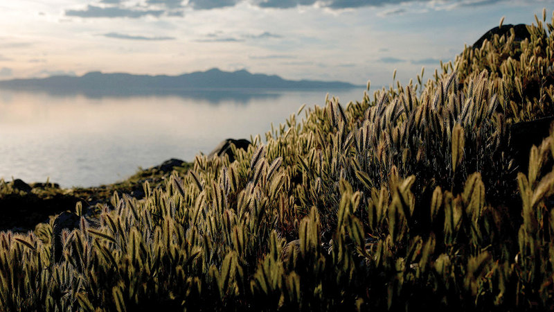البحيرة ستساعد على دفع النشاط الاقتصادي في ولاية يوتا وخارجها. أ.ف.ب