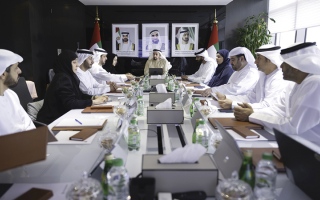 سيف بن زايد يؤكد مواصلة تطوير سياسات ومبادرات الاستدامة السكانية