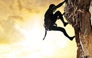 الصورة: متسلق جبال يفقد القدرة على المشي بعد تعرضه لـ 100 لسعة نحل