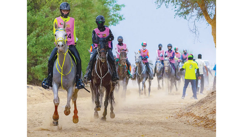 مهرجان سموّ ولي عهد دبي للقدرة واصل&nbsp;ترسيخ نجاحه. من المصدر