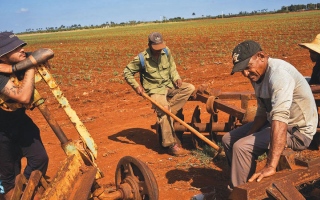الصورة: أزمة الوقود والتضخم والعقوبات تزيد معاناة المزارعين في كوبا
