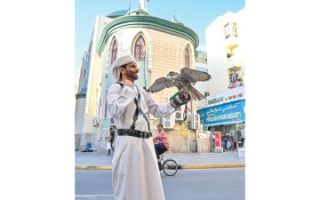 الصورة: صقّار في قلب دبي