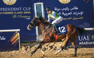 الصورة: &laquo;آر بي بوي فريند&raquo; بطل كأس رئيس الدولة في تونس