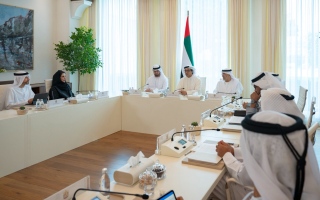 الصورة: برئاسة منصور بن زايد.. المجلس الوزاري للتنمية يستعرض نتائج تنفيذ البرامج والمبادرات الحكومية