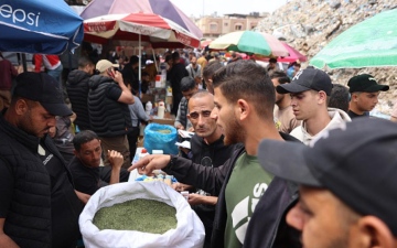 الصورة: سجائر الملوخية حيلة الغزيين للتدخين نتيجة الحرب وشحّ التبغ
