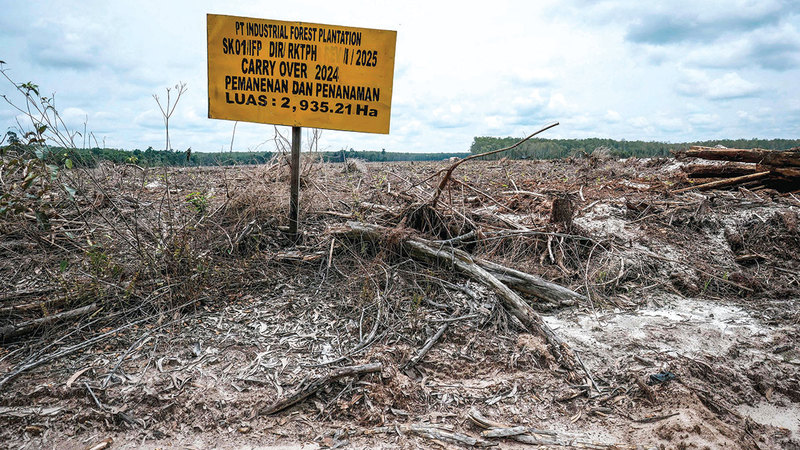 لافـتـة تُظهـر ترخيـص شـركة في أراضٍ مخصصة لزراعة المحاصيل الصناعية. أ.ف.ب