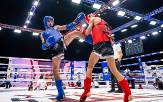 الصورة: دورة الألعاب الآسيوية في الطريق إلى الأعوام الفردية